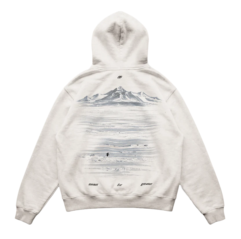 Lone Penguin "But Why" Oversized Hoodie