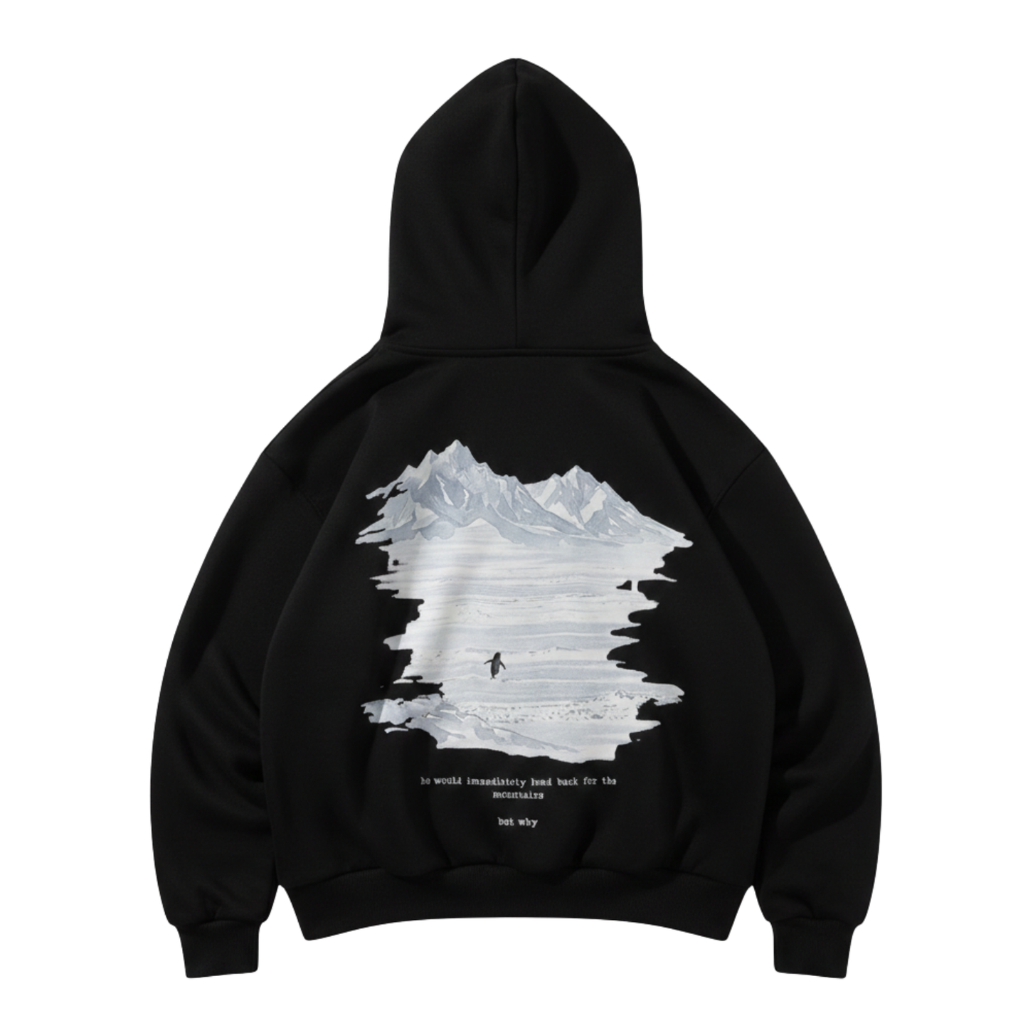 Lone Penguin "But Why" Oversized Hoodie