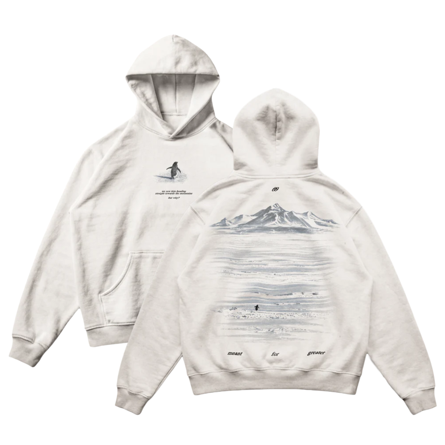 Lone Penguin "But Why" Oversized Hoodie