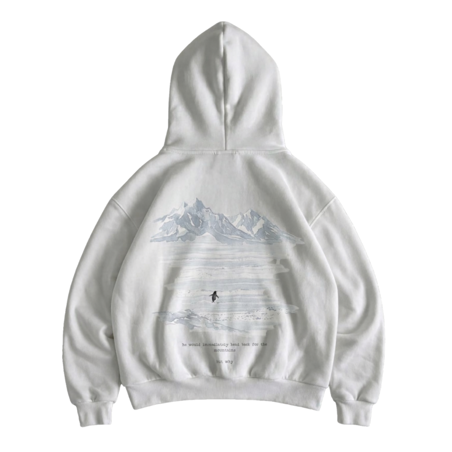 Lone Penguin "But Why" Oversized Hoodie